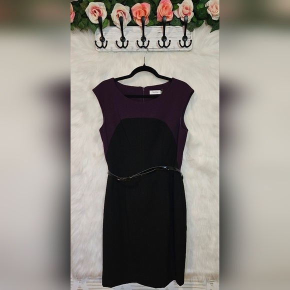 Calvin Klein Classic Plum Lined Colorblock Belted Dress - Picture 1 of 7